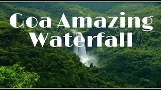 #CharavneWaterfall  (A beautiful journey).
#Waterfall
#Goa
#Oldgoa