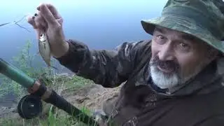 Ловится ли рыба на удочку в белую ночь #2