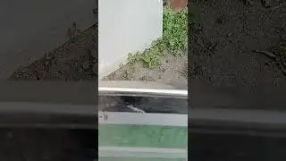 как похудеть?