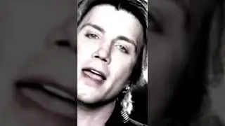 The 