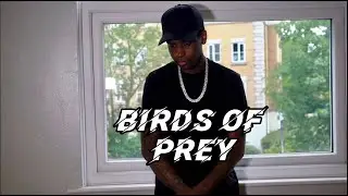 Concrete Kenyon - Birds Of Prey (Official Video)