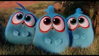 Cute little Blues, angry birds the movie post credits
