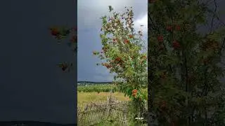Вот и Август