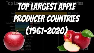 Top Largest Apple Producer Countries (1961-2020)