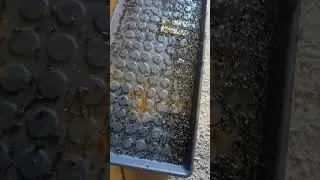 Нашел для себя новое средство от мух, я в ШОКЕ от результата👍