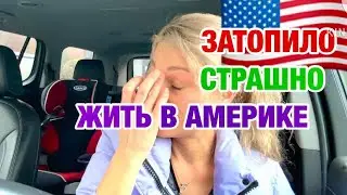 СМЫЛО ВСЕХ | ВОТ ЭТО ХАМСТВО | АМЕРИКА СЕЙЧАС