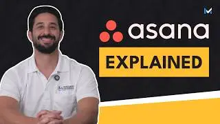 What Is Asana & How Does It Work?