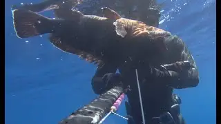 Pesca in Apnea a Catania - Spettacoli della Natura e Cernia in Caduta