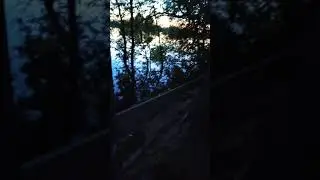 12 мая 2021 г. 4:40 утра