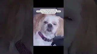 Рилс каждый день! 2 в день! Нет, 5 в день! 🫱🏻‍🫲🏼