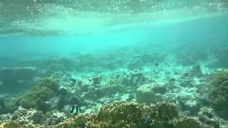 Test Sony Xperia Z in Red Sea Jordan