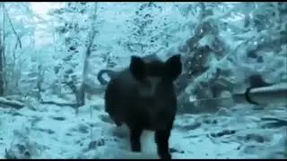 Зачетный.