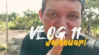[vlog 11] sítio janauari em Manaus Amazonas