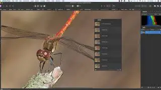 Focus Merging for Maximum Sharpness with Affinity Photo