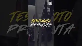 Testimotos - Las Cubs de Marina y Hugo