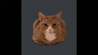 memes i found on discord