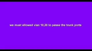 VLAN & Trunk Configuration in EVE-NG |Step-by-Step Network Design EVE-NG |Networking Tutorial