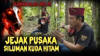 JEJAK PUSAKA..!!! SILUMAN KUDA HITAM..!!! SILUMAN ALAS JATI