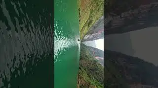 Which is the India's Largest Peninsular River? | Suyog Sir