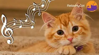 🐱 12 HOURS of Relaxing Music for Cats [Anxiety & Boredom Buster] 🐱