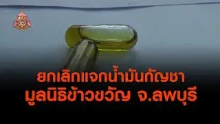 ยกเลิกแจกน้ำมันกัญชามูลนิธิข้าวขวัญ จ.ลพบุรี  (5 เม.ย.62)