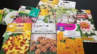 Какие цветы я буду высевать на рассаду в конце марта.