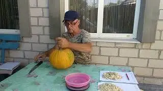 Гарбузове насіння для посівного