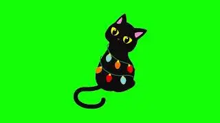 GREEN SCREEN CATS FREE FOR VIDEOS 6 - Green Screen Effects