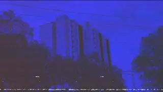A Walk In The Neighborhood