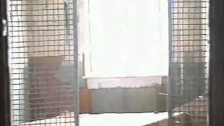 movie 1 flv converted