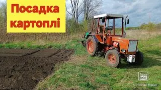 Картоплі багато не буває👌😂🥔🥔🇺🇦🇺🇦Фрезуємо і Садимо трактором т-25 #трактор #т25 #фреза #картопля