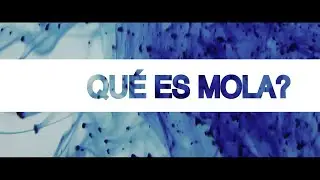 Qué es MOLA