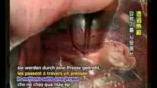 David Wolfe Raw Chocolate Interview Part 1