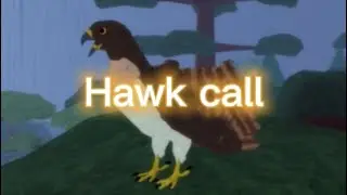 Hawk call