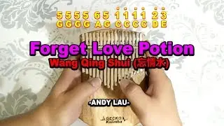 FORGET LOVE POTION / WANG QING SHUI (忘情水) - Kalimba Easy Practice