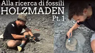 Alla ricerca di fossili - HOLZMADEN (Germania) pt.1