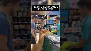 Esto no se ve todos los días...