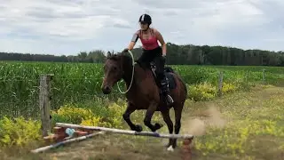 Halsring reiten und springen 😍