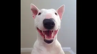 ШПИЛИМ В КС ГО