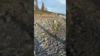 Морская рыбалка