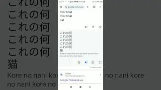 Untitled video