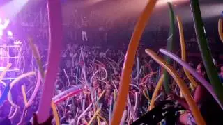 Coco Bongo Night Club, The Madness which is Coco Bongo