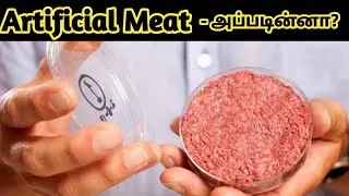 செயற்கை இறைச்சி | செயற்கை இறைச்சி செய்யும் முறை | Artificial meat | Cultured Meat | Mass_Wikipedia