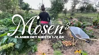 Hvad kan du forvente ? En lille hilsen fra Mosen, om hvad der er i vente.