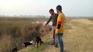Bakari Kitne Ki Hai | Mere Gaw Ke Do Log Aapas Me Behas Karte Huye