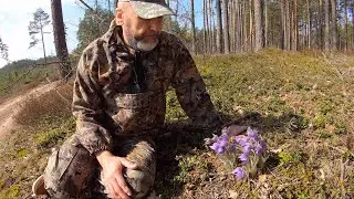 Жизнь на природе. Сон-трава. Прогулка на Альфе по интересным местам