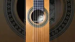 Salvador Cortez CC-08 Классическая гитара