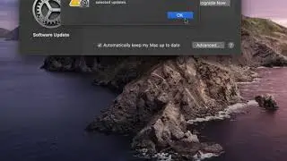 macOS Big Sur Upgrade Installation Error On Launch Day
