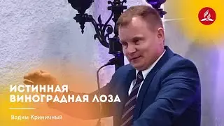 Проповедь «Истинная виноградная лоза» — Вадим Криничный