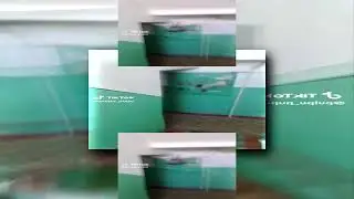 Dubstep Bird Scan